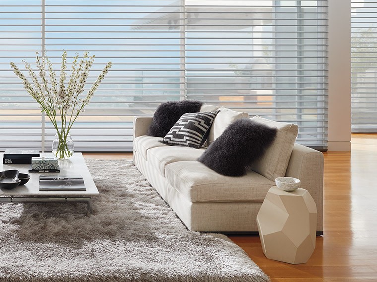 Hunter Douglas Dealer Image